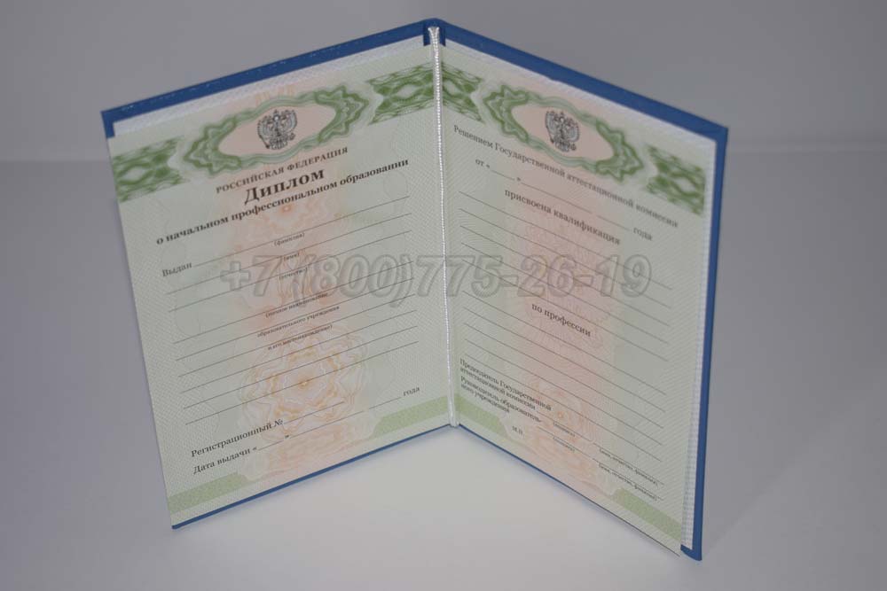 Диплом ПТУ Гознак 2011-2025 год выпуска г.Омск