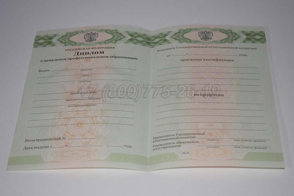 Бланк диплома ПТУ Гознак 2011-2025 год выпуска г.Омск