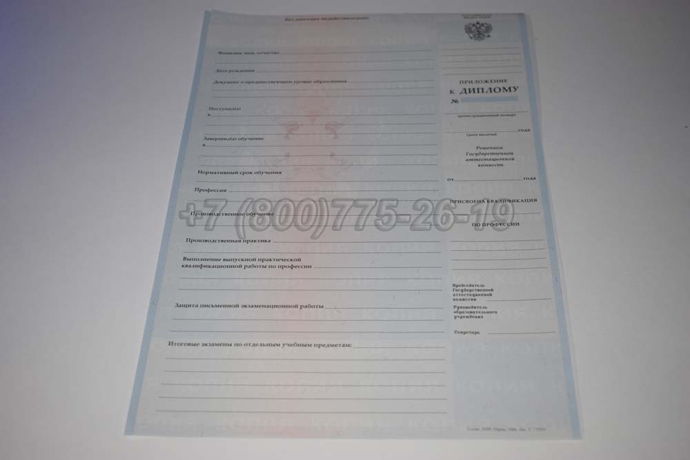 Приложение к диплому ПТУ Гознак 2007-2010 год выпуска г.Омск