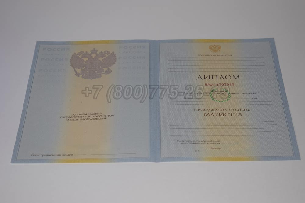 Бланк диплома магистра Гознак 2009-2010 год выпуска г.Омск