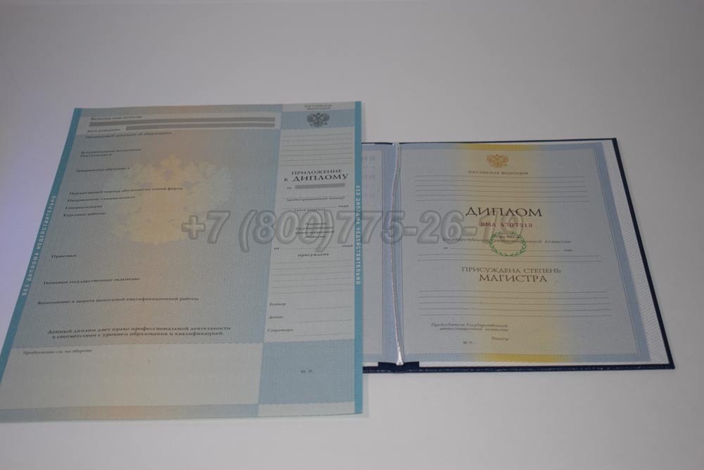 Диплом магистра Гознак 2009-2010 год выпуска г.Омск