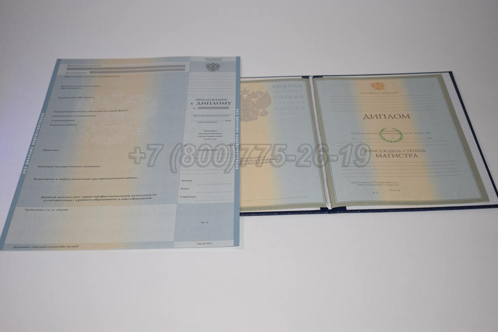 Диплом магистра Гознак 2003-2008 год выпуска г.Омск