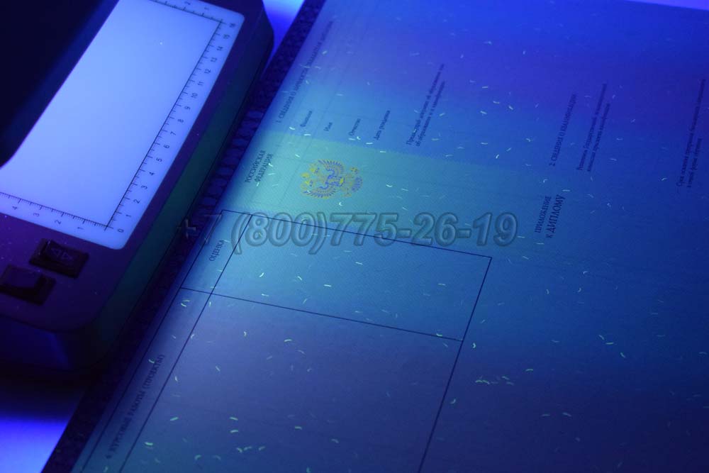 Приложение к красному диплому о высшем образовании 2013-2025 год г.Омск