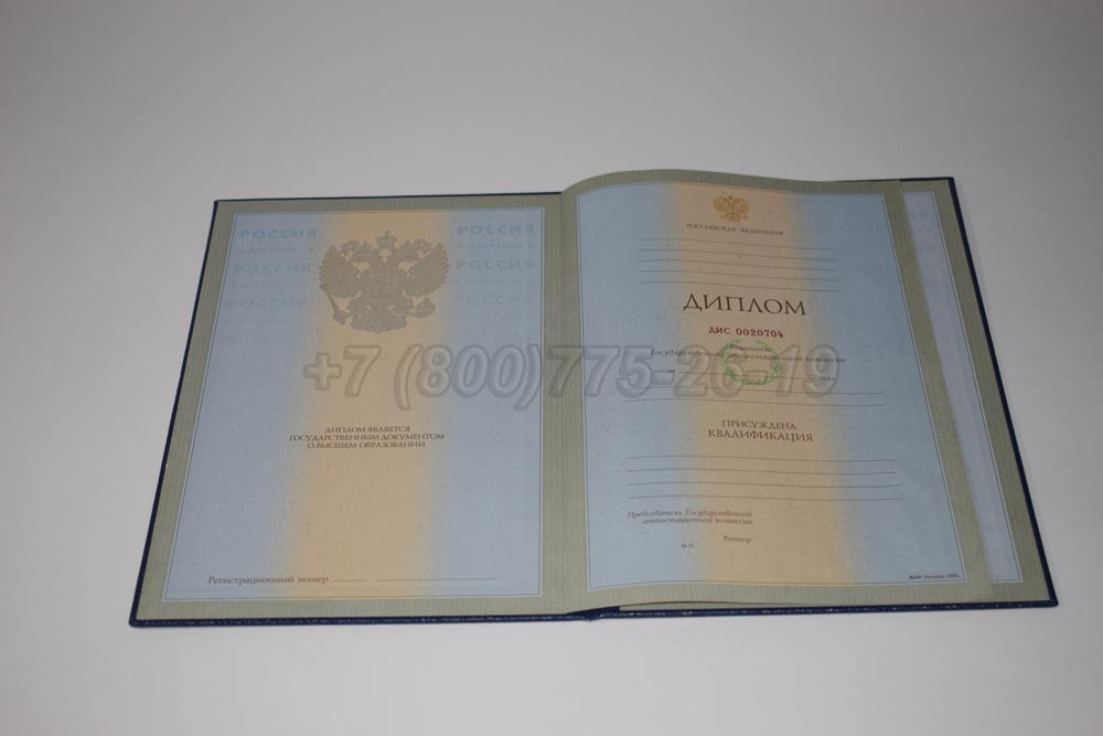 Диплом для иностранных граждан Гознак 1997-2025 год выпуска г.Омск