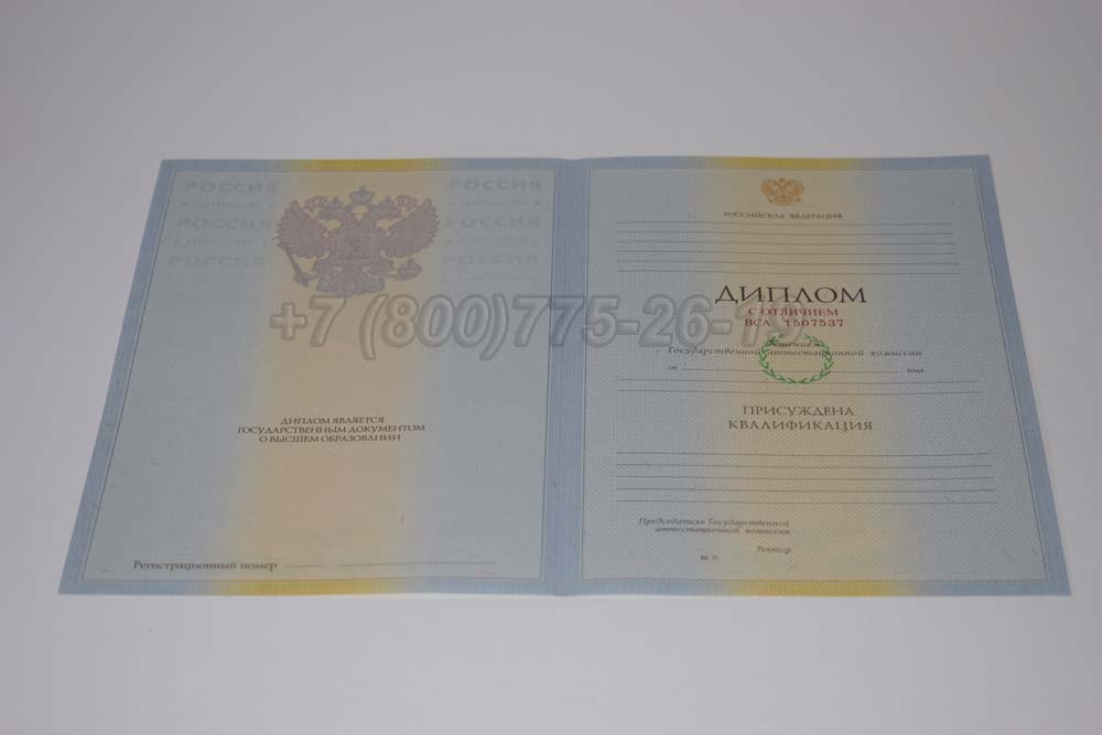 Бланк красного диплома о высшем образовании 2009-2010 год выпуска г.Омск
