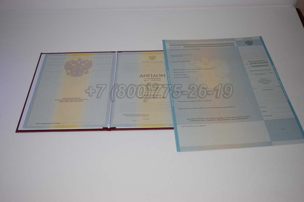 Красный диплом о высшем образовании 2009-2010 год г.Омск