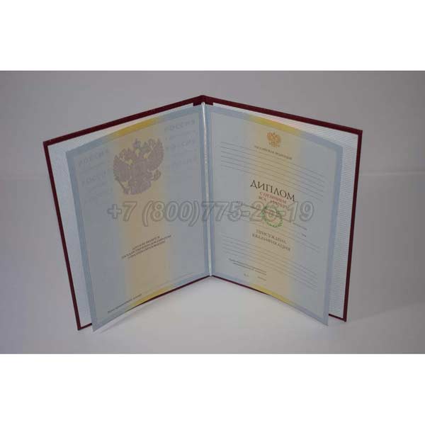 Красный диплом о высшем образовании 2009-2010 г.в. Омск