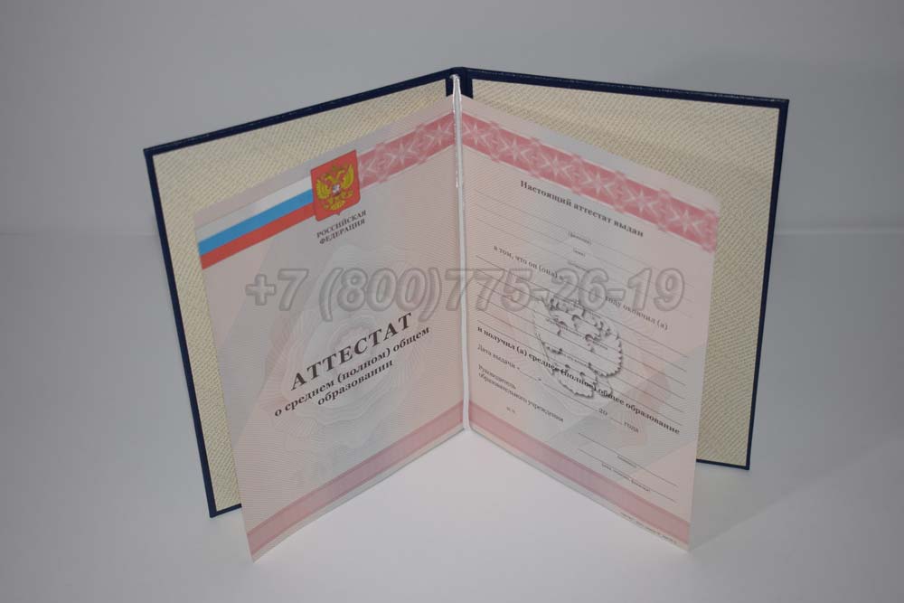 Аттестат за 11 класс Гознак 2008-2009 год выпуска г.Омск
