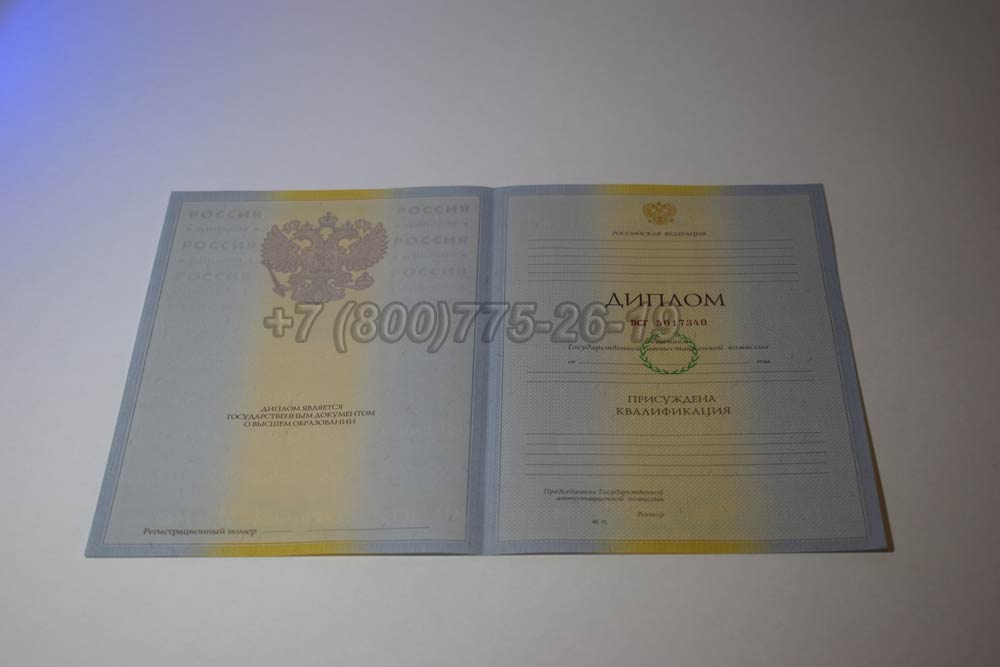 Бланк диплома о высшем образовании 2009-2010 год выпуска г.Омск