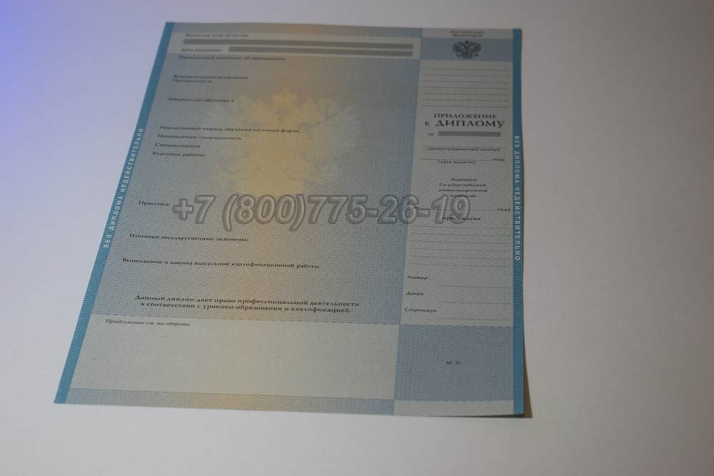 Приложение к диплому о высшем образовании 2009-2010 год выпуска г.Омск