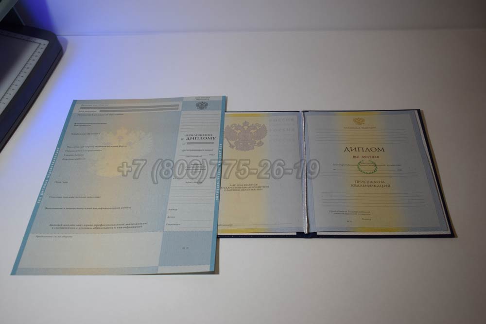 Диплом о высшем образовании 2009-2010 год г.Омск