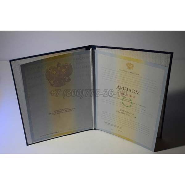 Диплом о высшем образовании 2009-2010 г.в. Омск