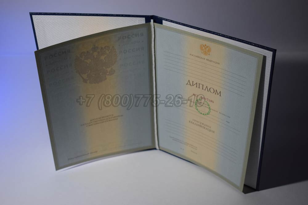 Диплом института Гознак 2003-2008 год выпуска г.Омск