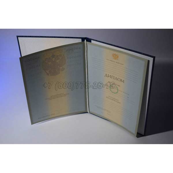 Диплом о высшем образовании 2003-2008 г.в. Омск